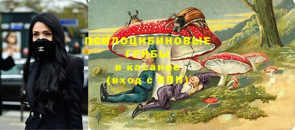 тгк Михайловка