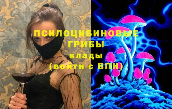 дурь Горняк