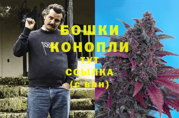 прущий лед Михайлов