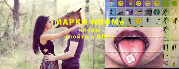 прущий лед Михайлов