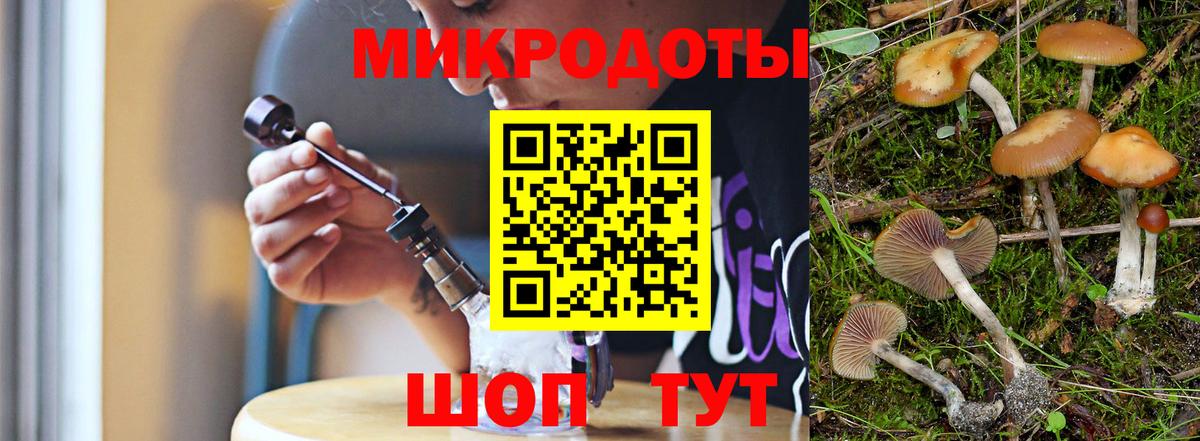 Галлюциногенные грибы Psilocybe  Благодарный 