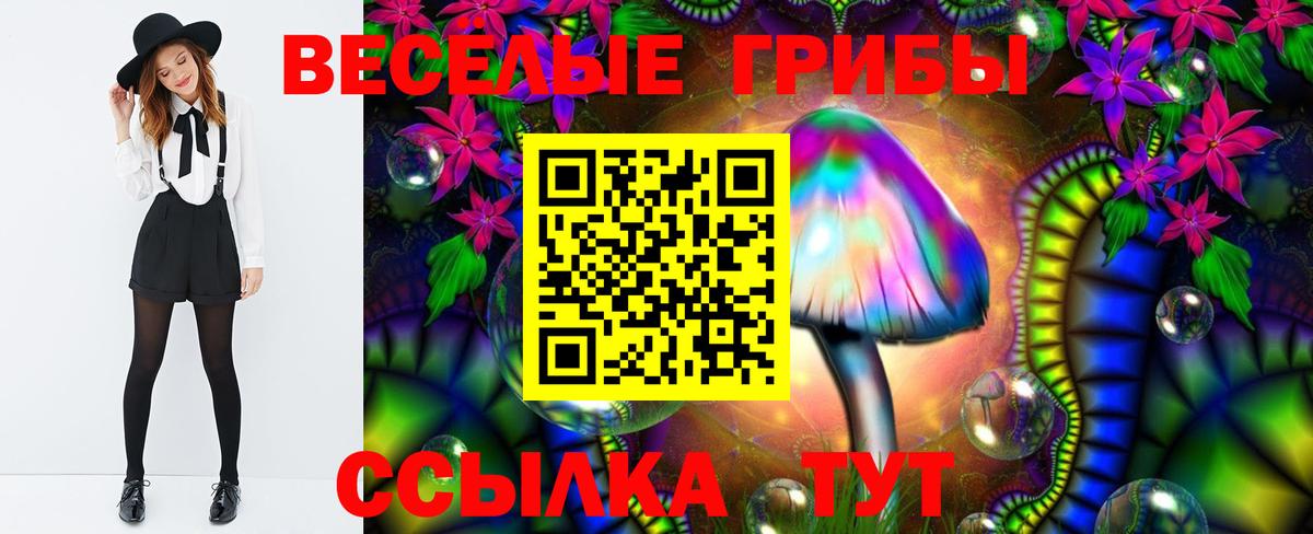 Галлюциногенные грибы GOLDEN TEACHER Благодарный